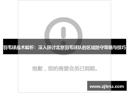 羽毛球战术解析：深入探讨北京羽毛球队的区域防守策略与技巧