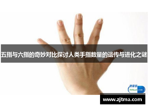 五指与六指的奇妙对比探讨人类手指数量的遗传与进化之谜
